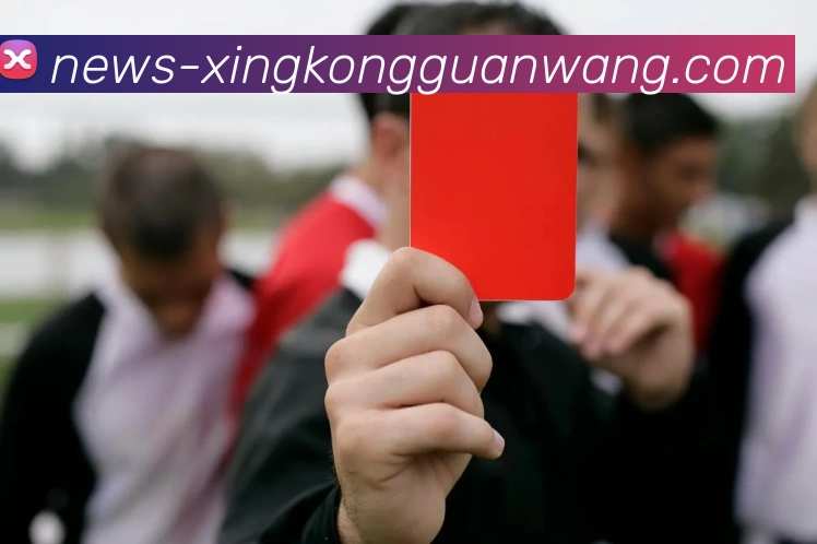 对战数据统计