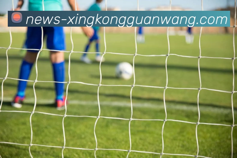 奖项证书